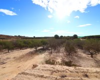 Sale - Plot - Torremendo - Torremendo - Country