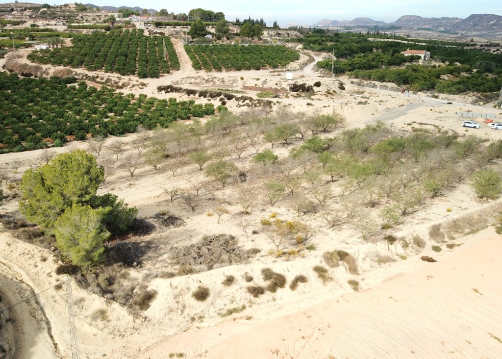 Sale - Plot - Torremendo - Torremendo - Country