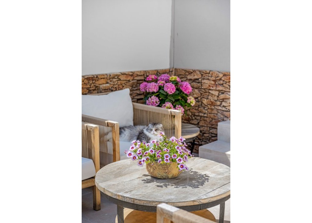 Sale - Townhouse - Alicante - Playa San Juan