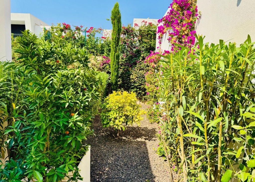 Sale - Villa - Algorfa - La Finca Golf Resort