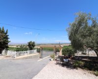 Sale - Villa - Algorfa - Lomas de La Juliana