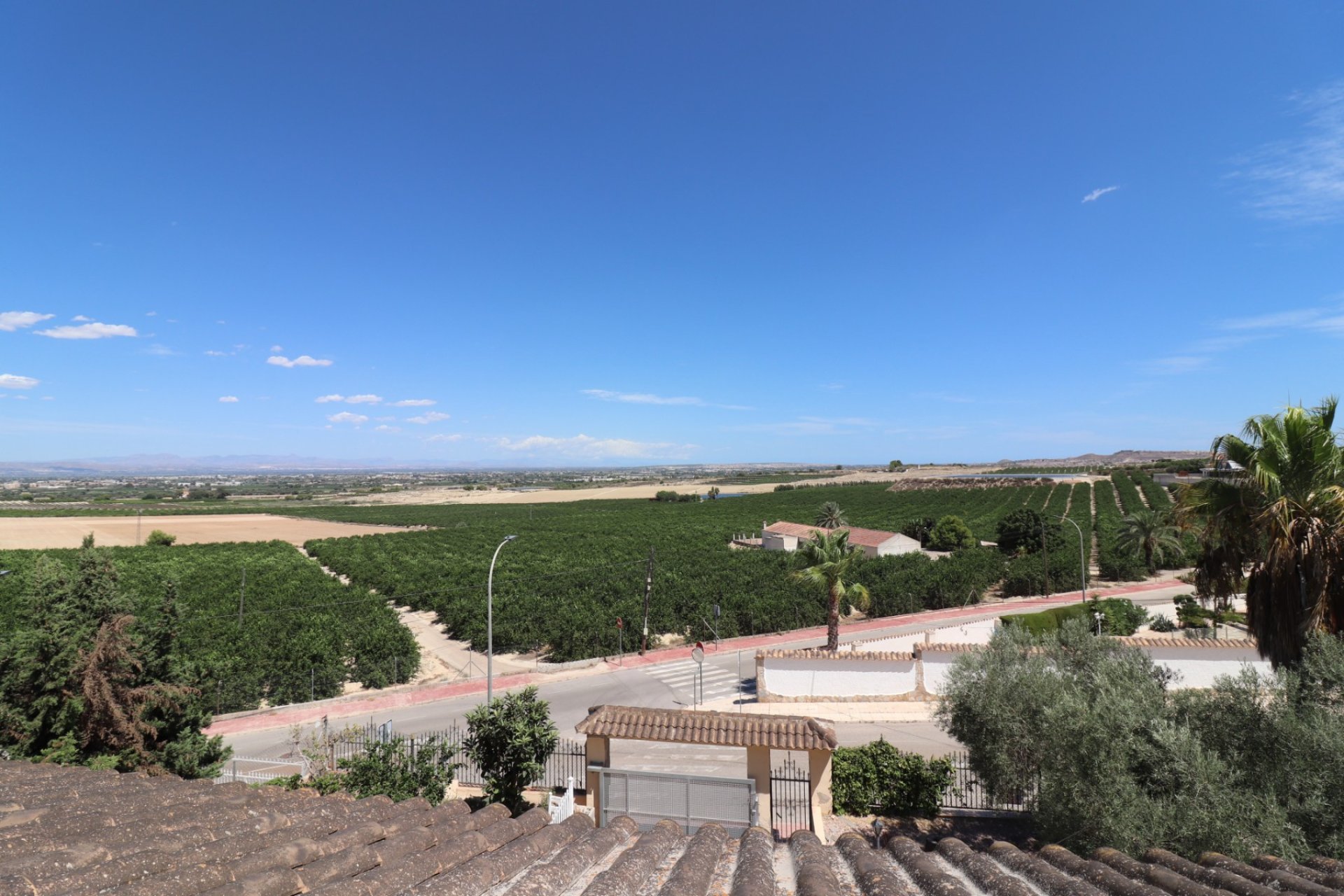 Sale - Villa - Algorfa - Lomas de La Juliana