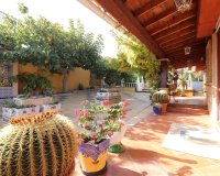 Sale - Villa - Algorfa - Lomas de La Juliana