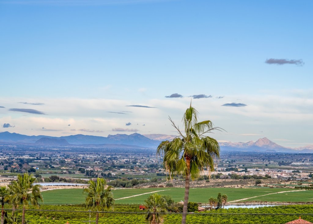 Sale - Villa - Algorfa - Lomas De La Juliana