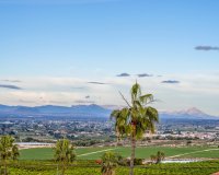 Sale - Villa - Algorfa - Lomas De La Juliana