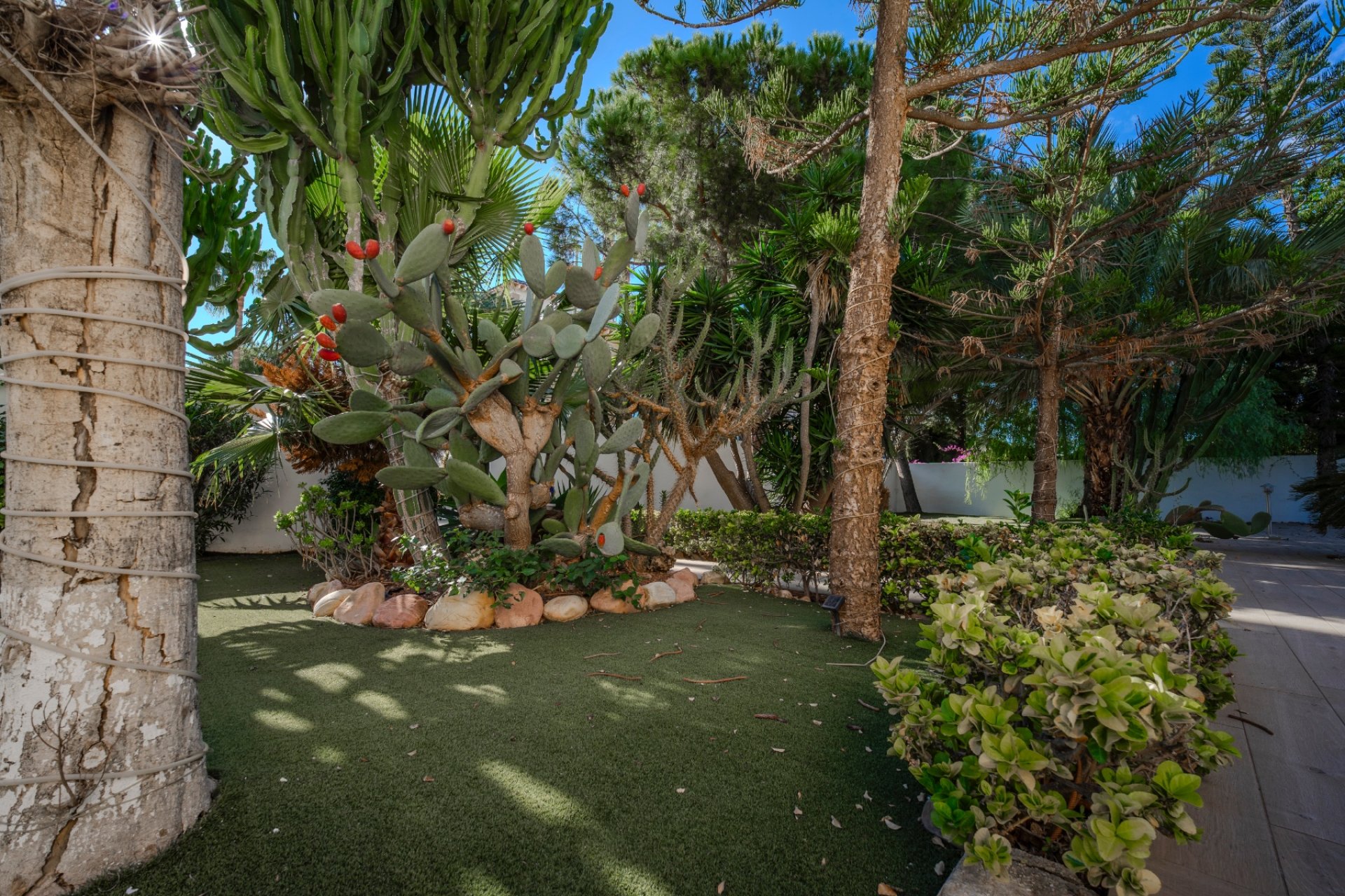 Sale - Villa - Ciudad Quesada - Doña Pepa