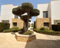 Sale - Villa - Ciudad Quesada - Pueblo Bravo