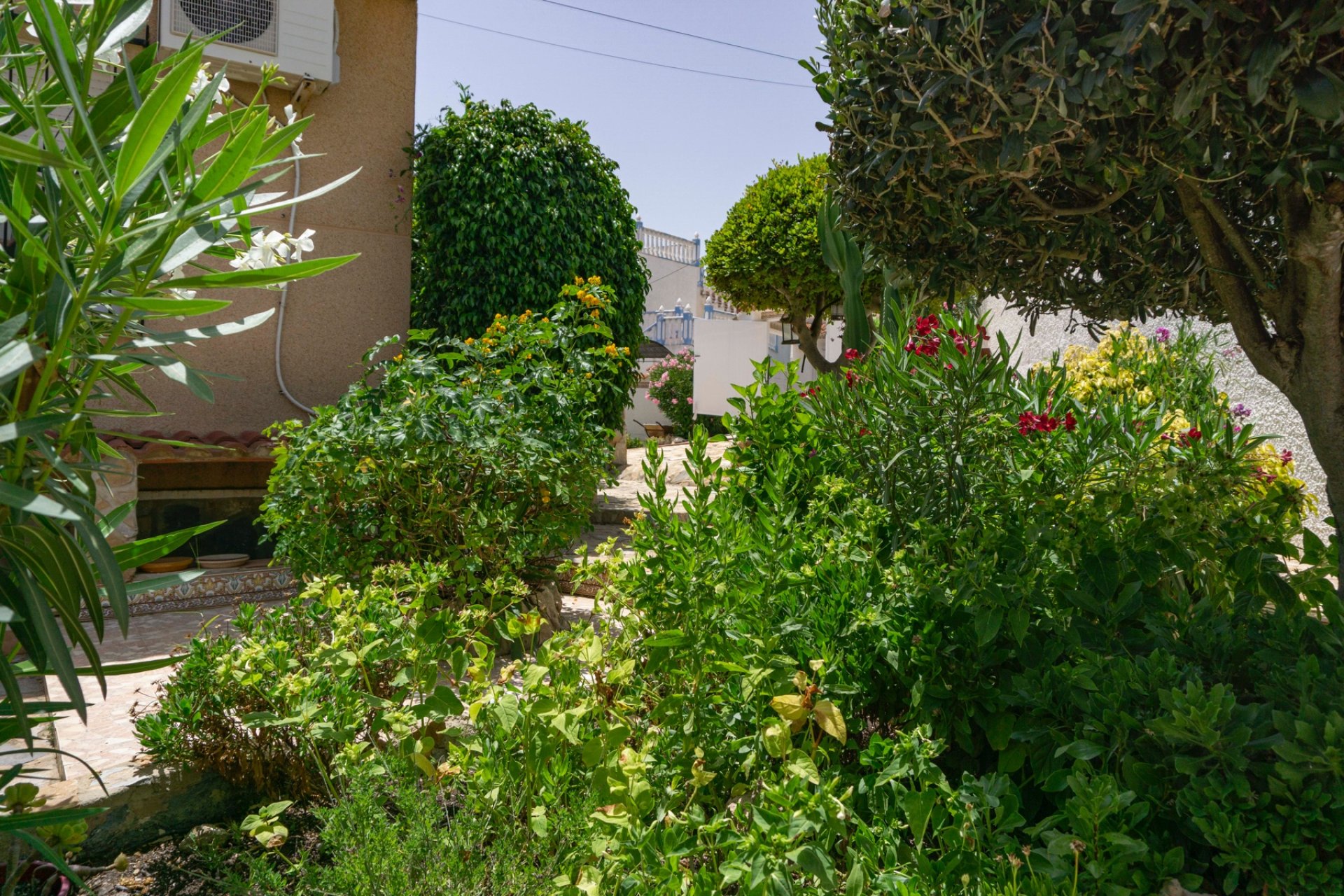 Sale - Villa - Ciudad Quesada - town