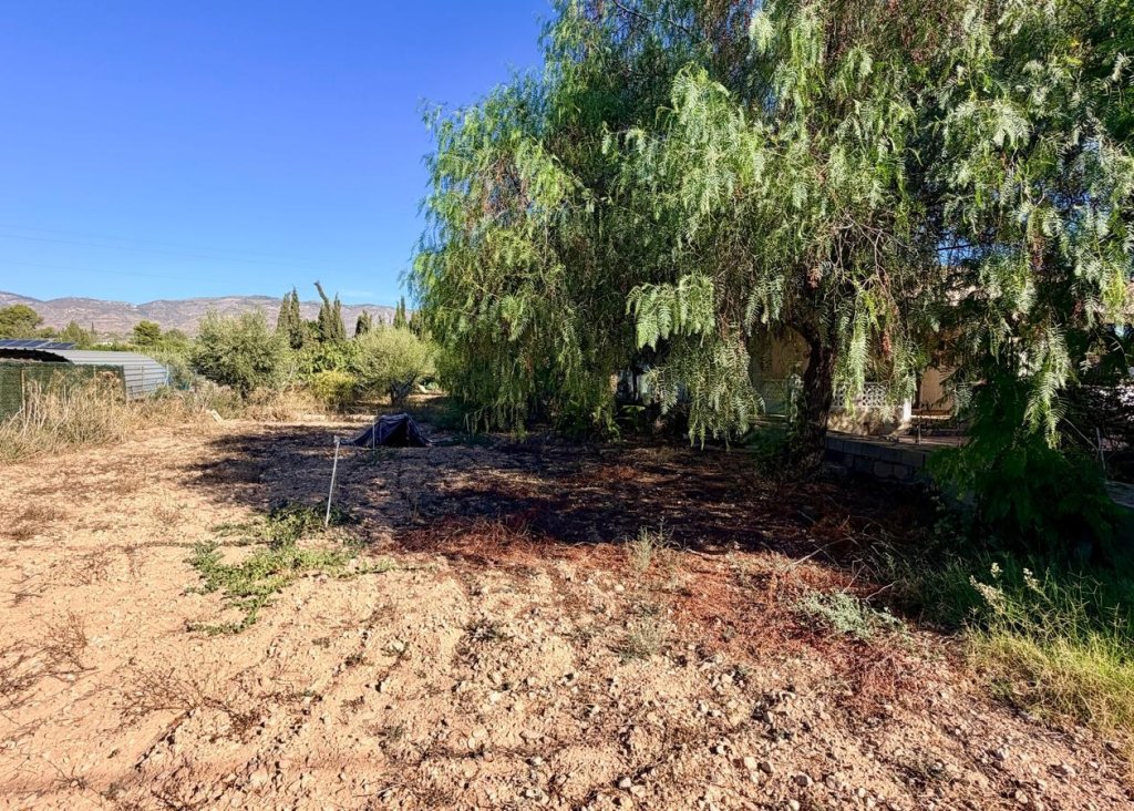 Sale - Villa - Crevillente