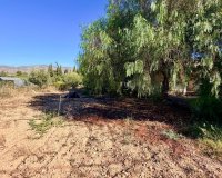 Sale - Villa - Crevillente