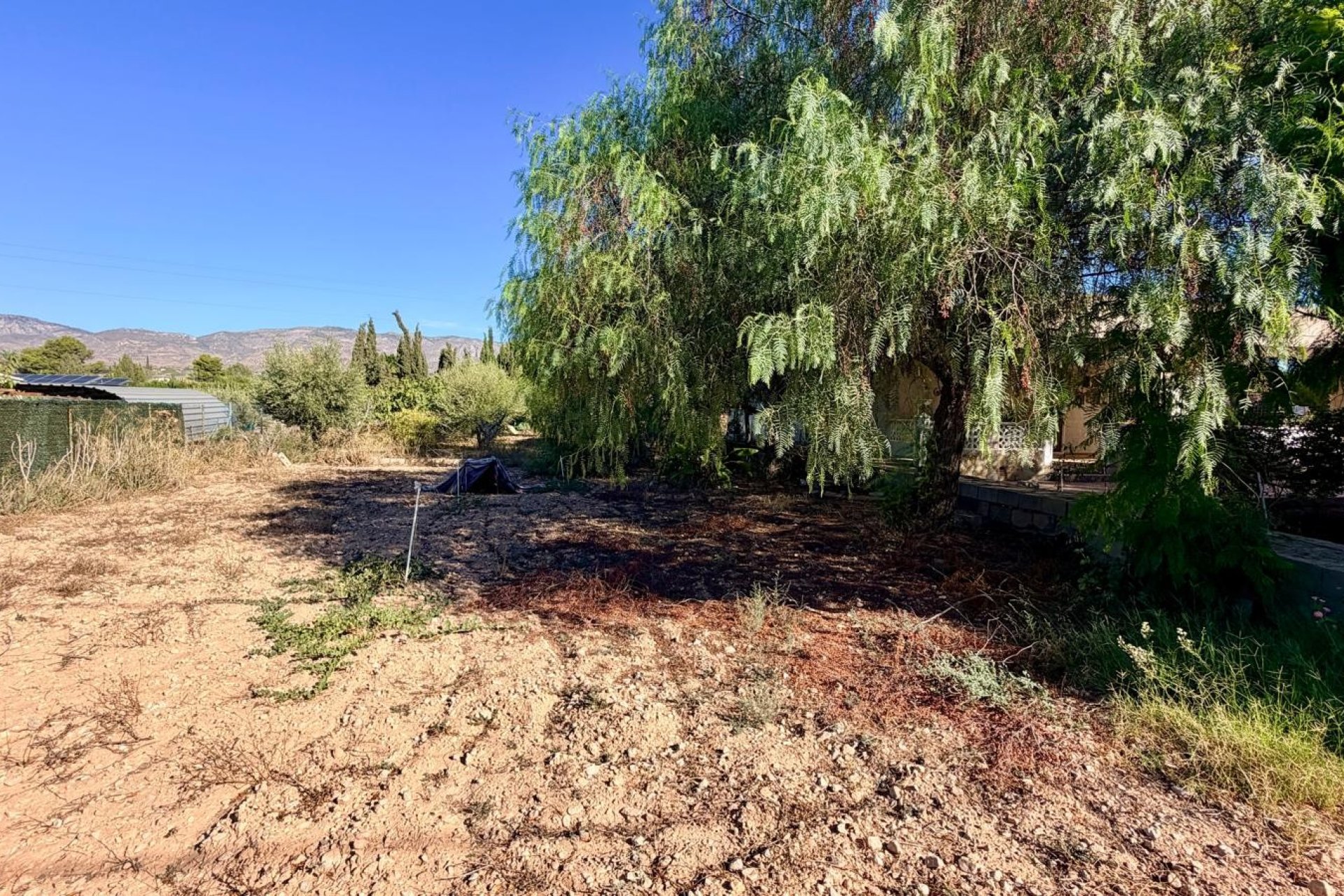 Sale - Villa - Crevillente