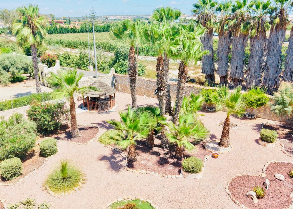 Sale - Villa - Daya Vieja