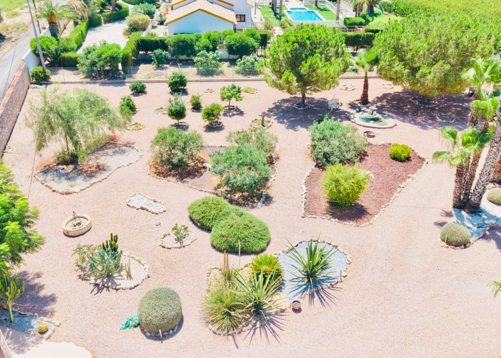 Sale - Villa - Daya Vieja