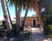 Sale - Villa - Dolores