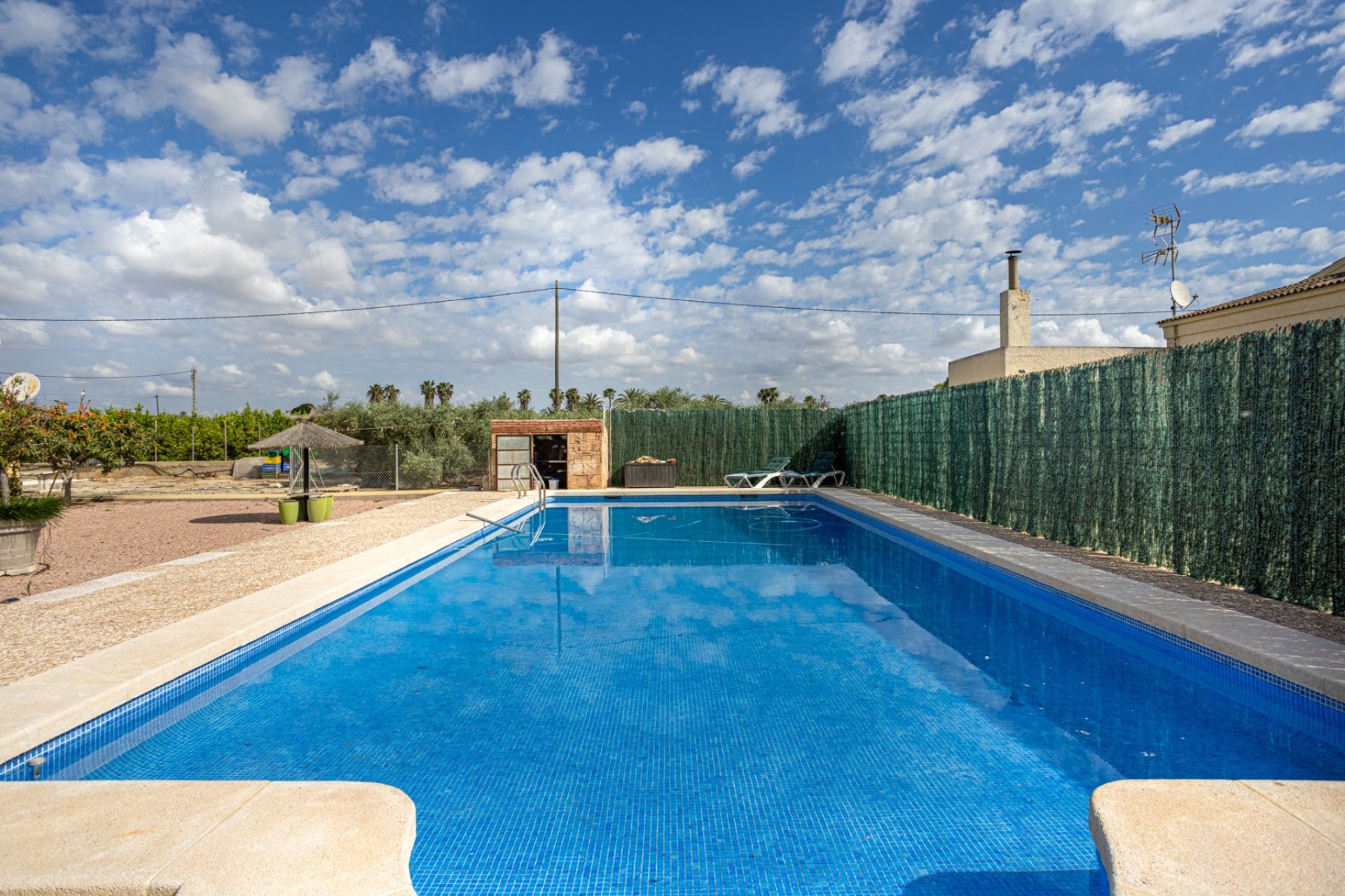 Sale - Villa - ELCHE - La Hoya