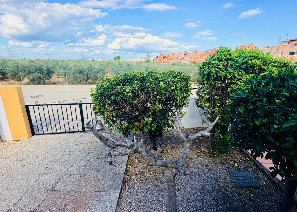 Sale - Villa - Los Montesinos - La Herrada