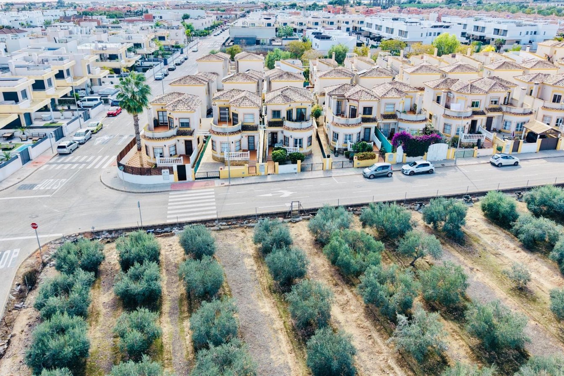 Sale - Villa - Los Montesinos - La Herrada