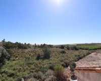 Sale - Villa - San Miguel de Salinas - Lake View Mansions