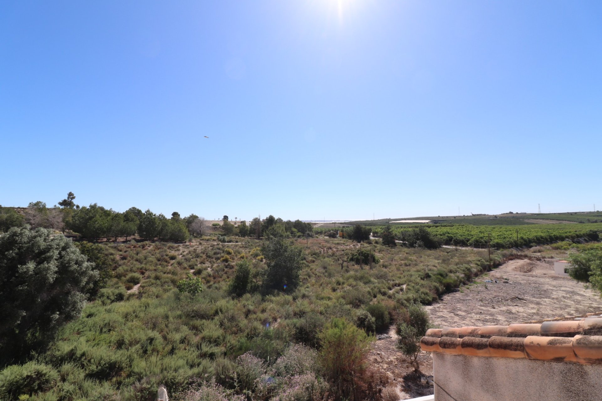 Sale - Villa - San Miguel de Salinas - Lake View Mansions