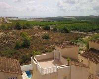 Sale - Villa - San Miguel de Salinas - Lake View Mansions