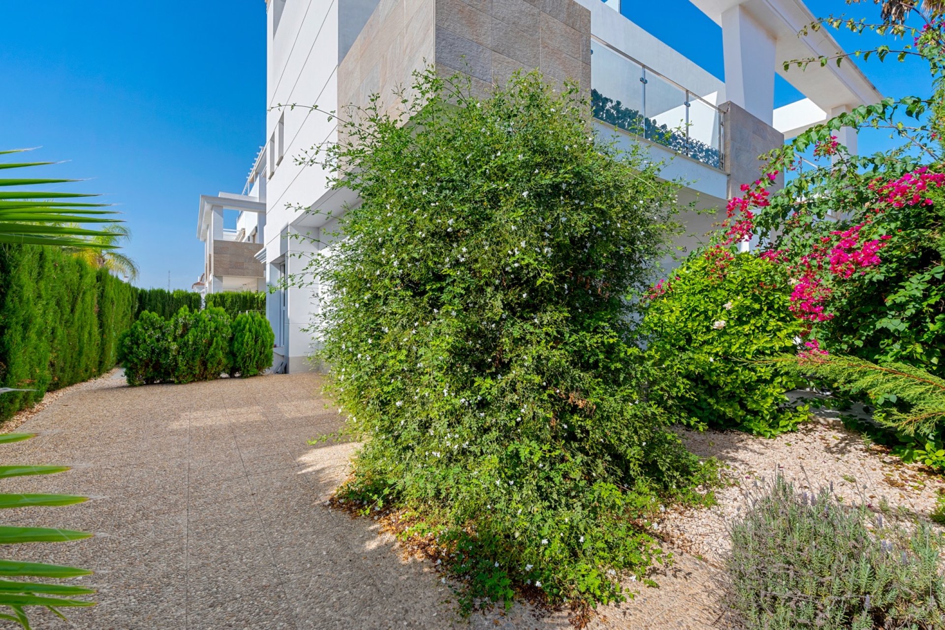 Venta - Adosado - Ciudad Quesada - Doña Pepa