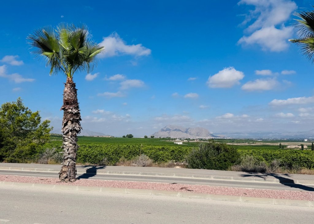 Venta - Apartment - Flat - Algorfa