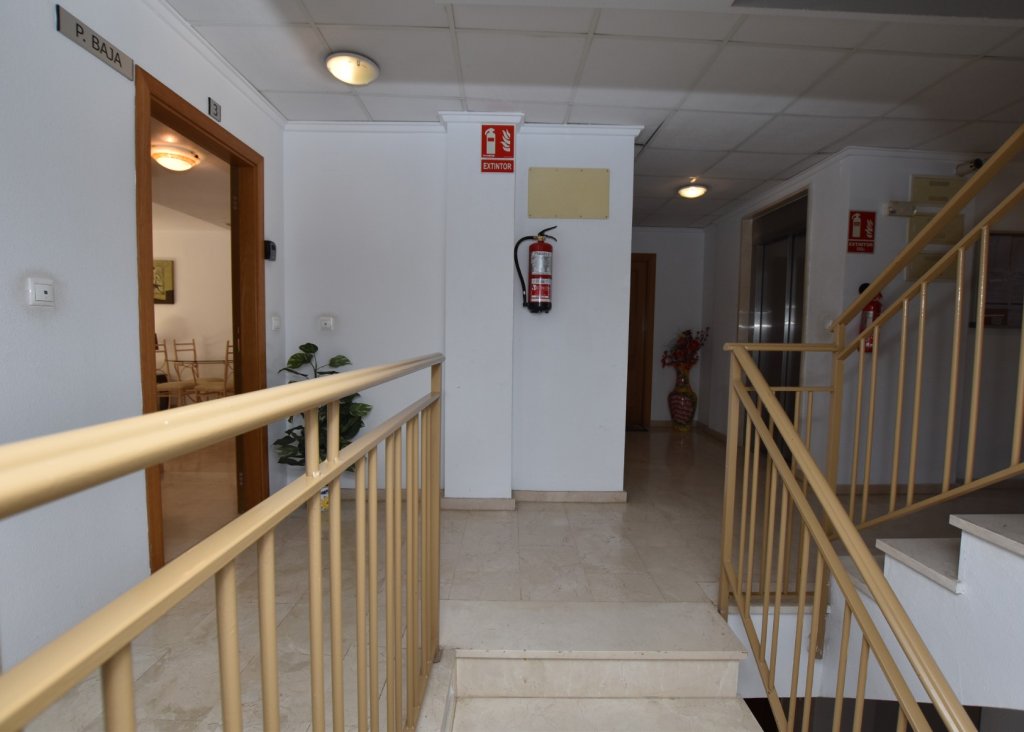 Venta - Apartment - Flat - Algorfa