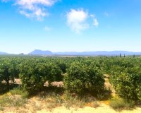 Venta - Apartment - Flat - Algorfa
