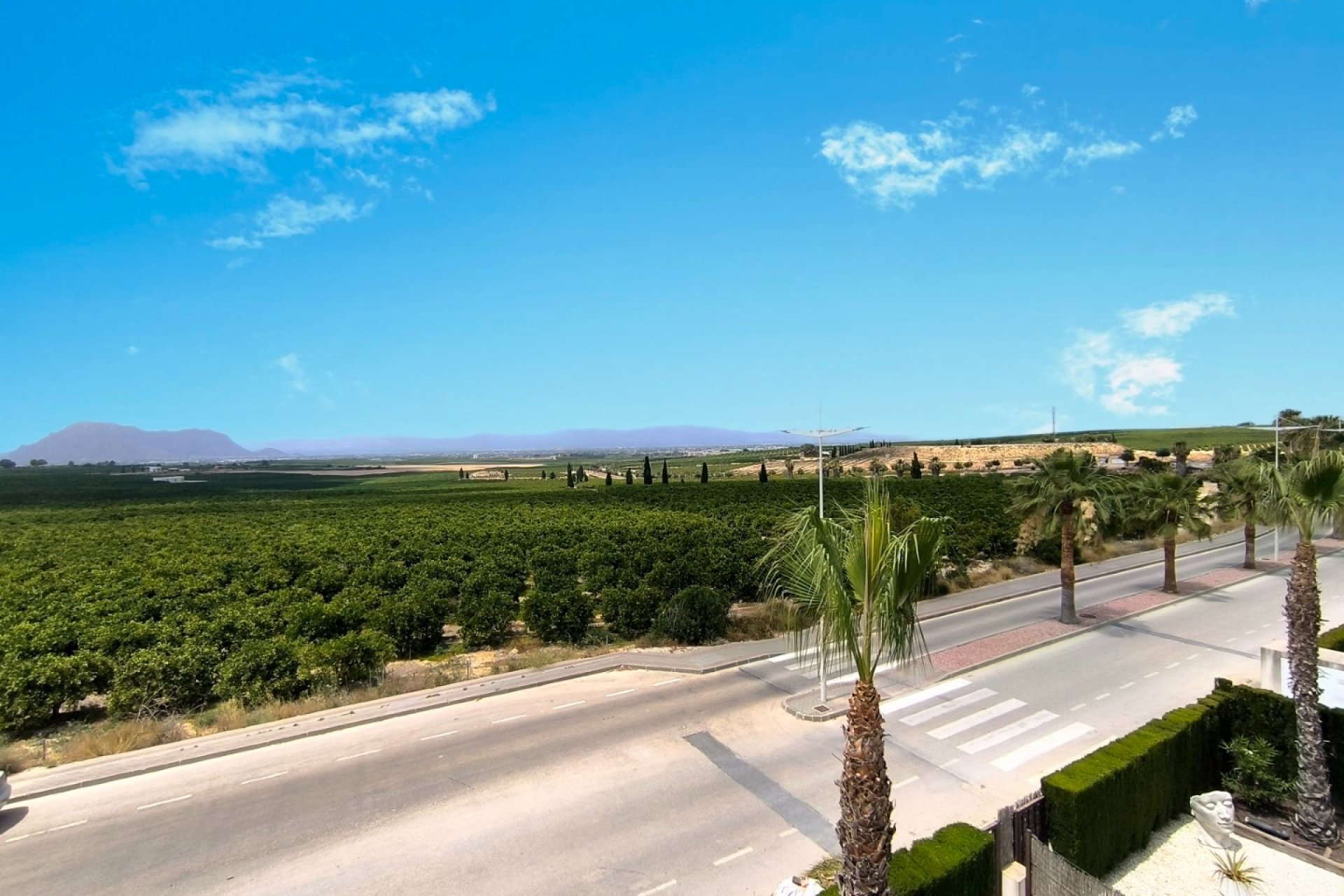 Venta - Apartment - Flat - Algorfa