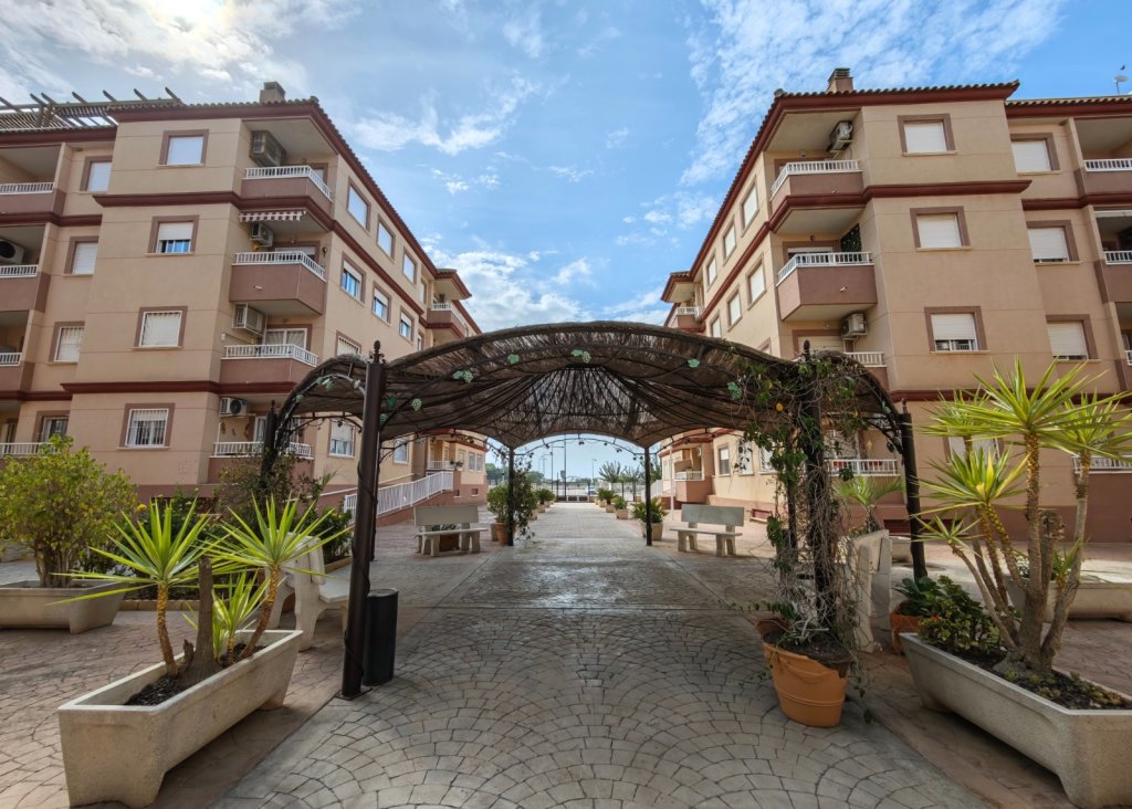 Venta - Apartment - Flat - Algorfa