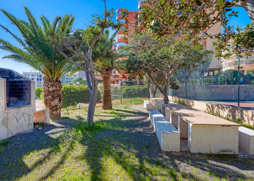 Venta - Apartment - Flat - Arenales del Sol - Segunda linea playa