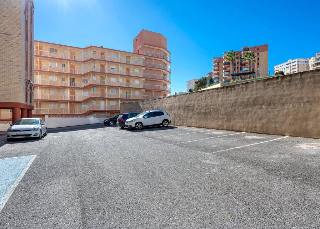 Venta - Apartment - Flat - Arenales del Sol - Segunda linea playa