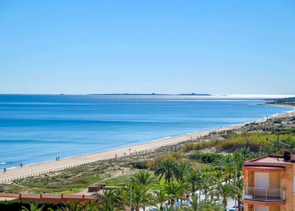 Venta - Apartment - Flat - Arenales del Sol - Segunda linea playa
