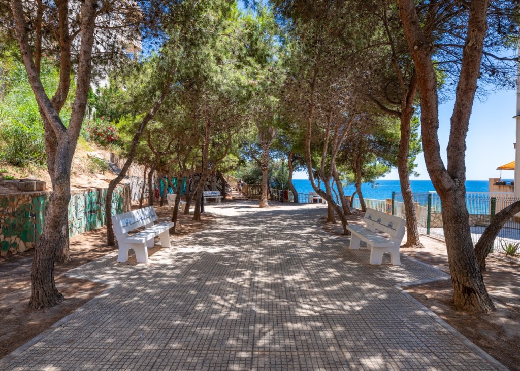 Venta - Apartment - Flat - Cabo Roig
