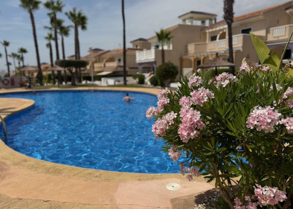 Venta - Apartment - Flat - Ciudad Quesada - Doña Pepa