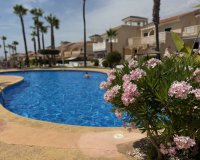 Venta - Apartment - Flat - Ciudad Quesada - Doña Pepa