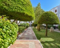 Venta - Apartment - Flat - Ciudad Quesada