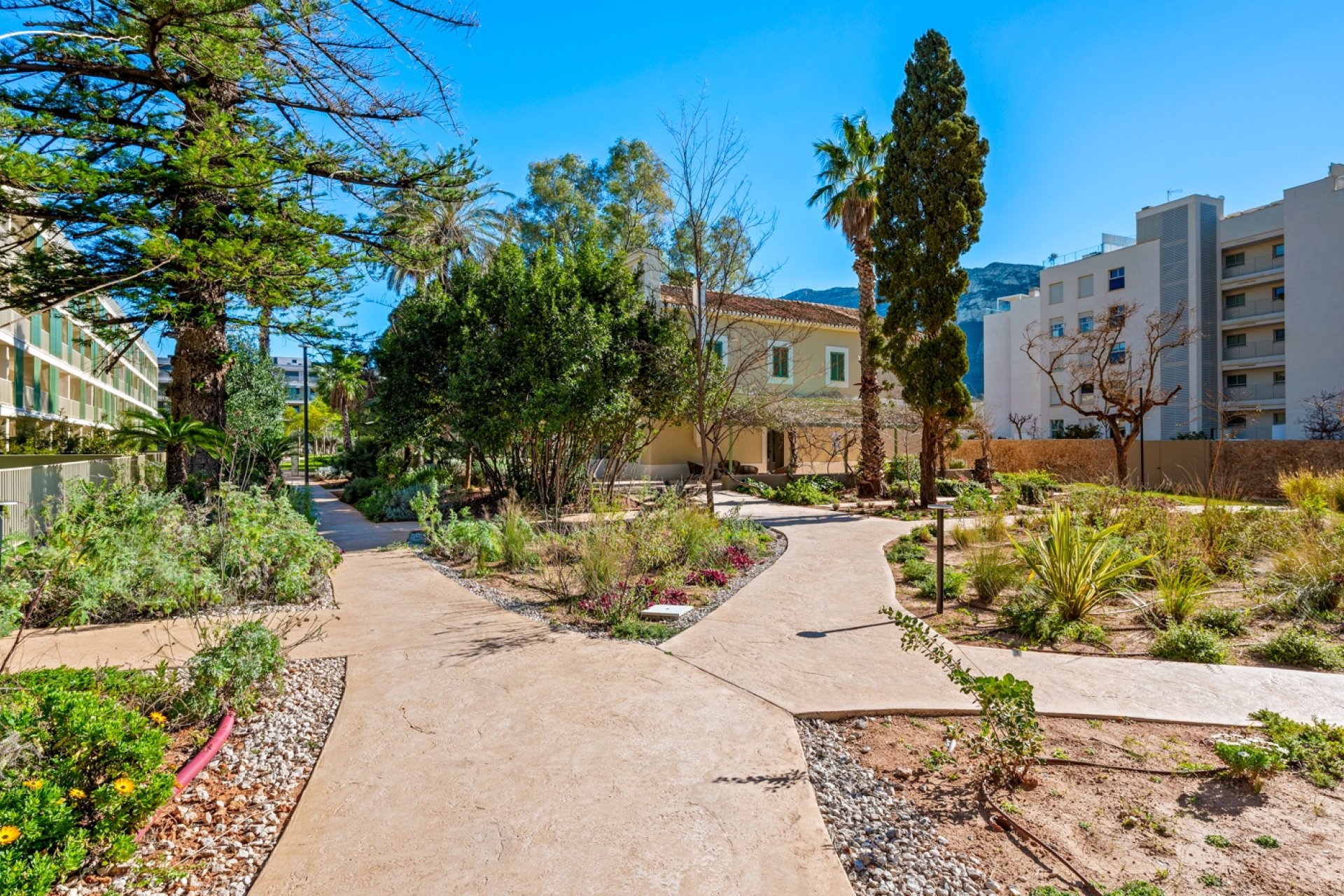 Venta - Apartment - Flat - Denia - Puerto