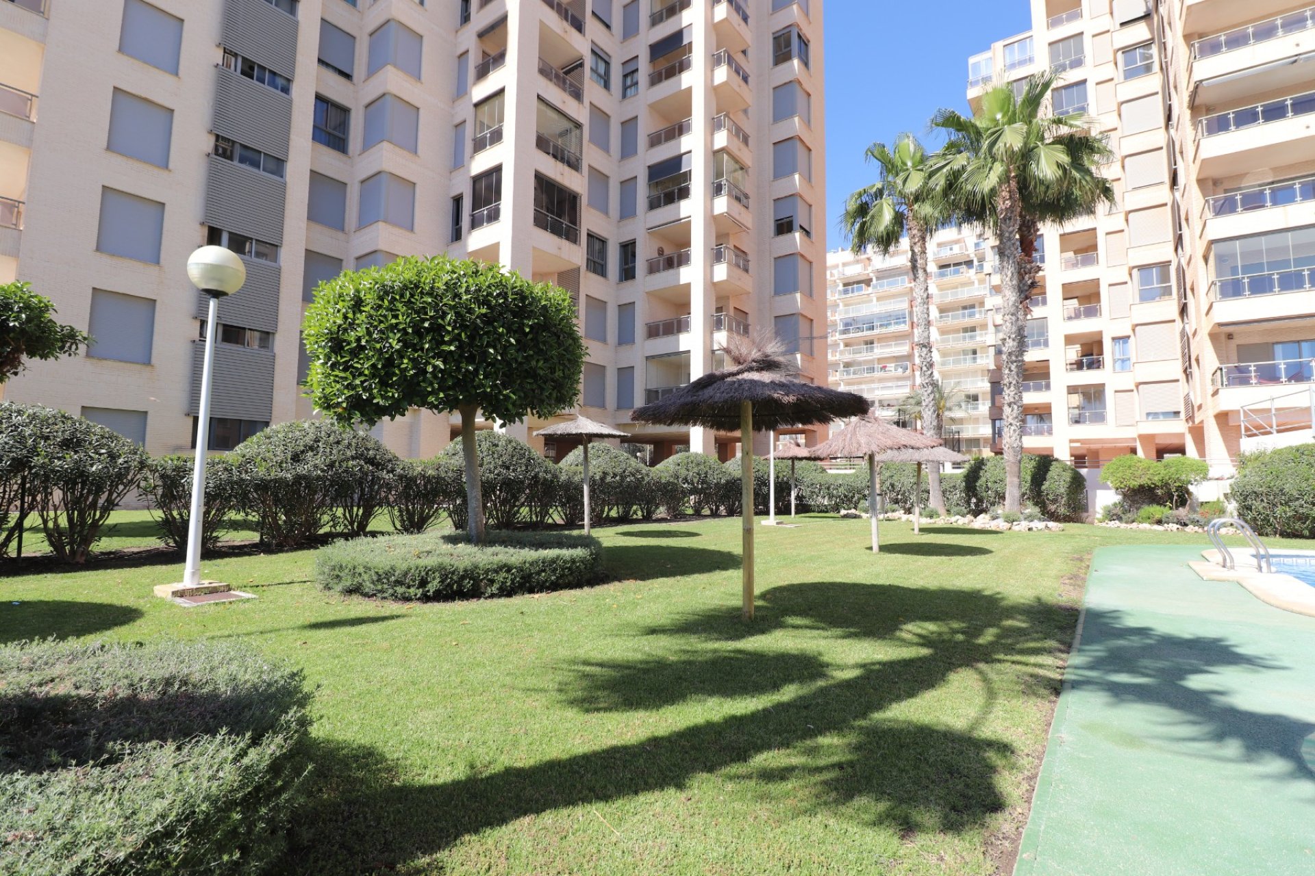 Venta - Apartment - Flat - Guardamar del Segura - Guardamar del Segura - Town