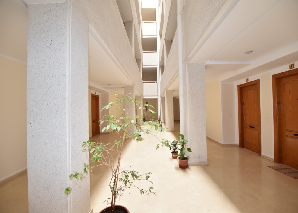 Venta - Apartment - Flat - La Mata