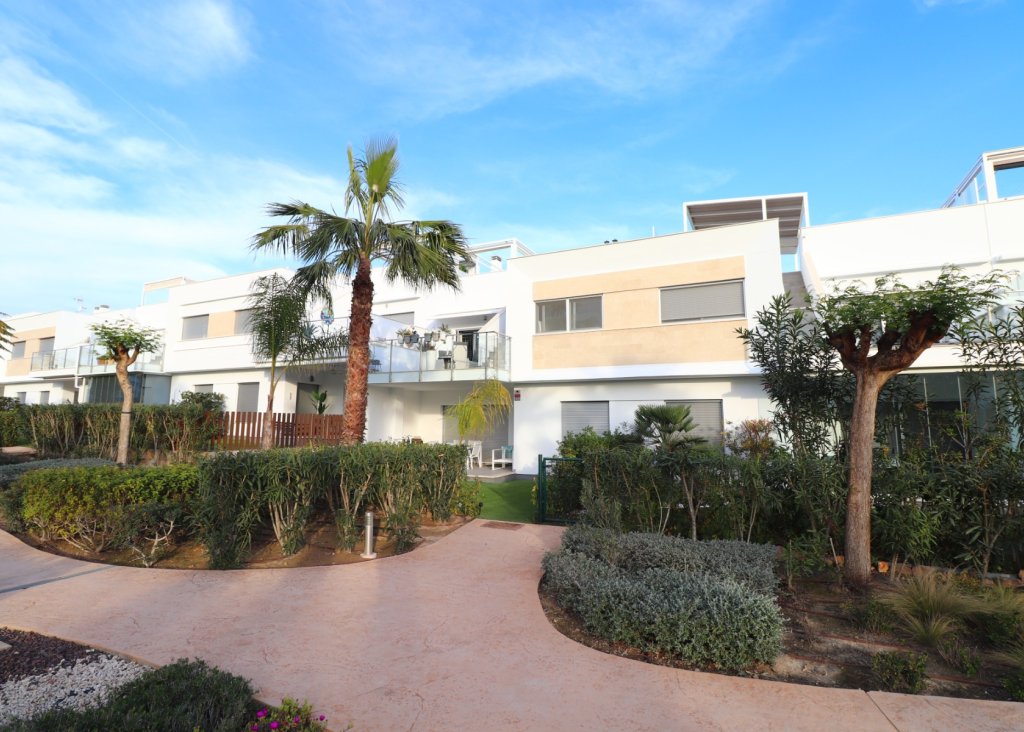Venta - Apartment - Flat - Los Montesinos - Entre Naranjos / Vistabella Golf