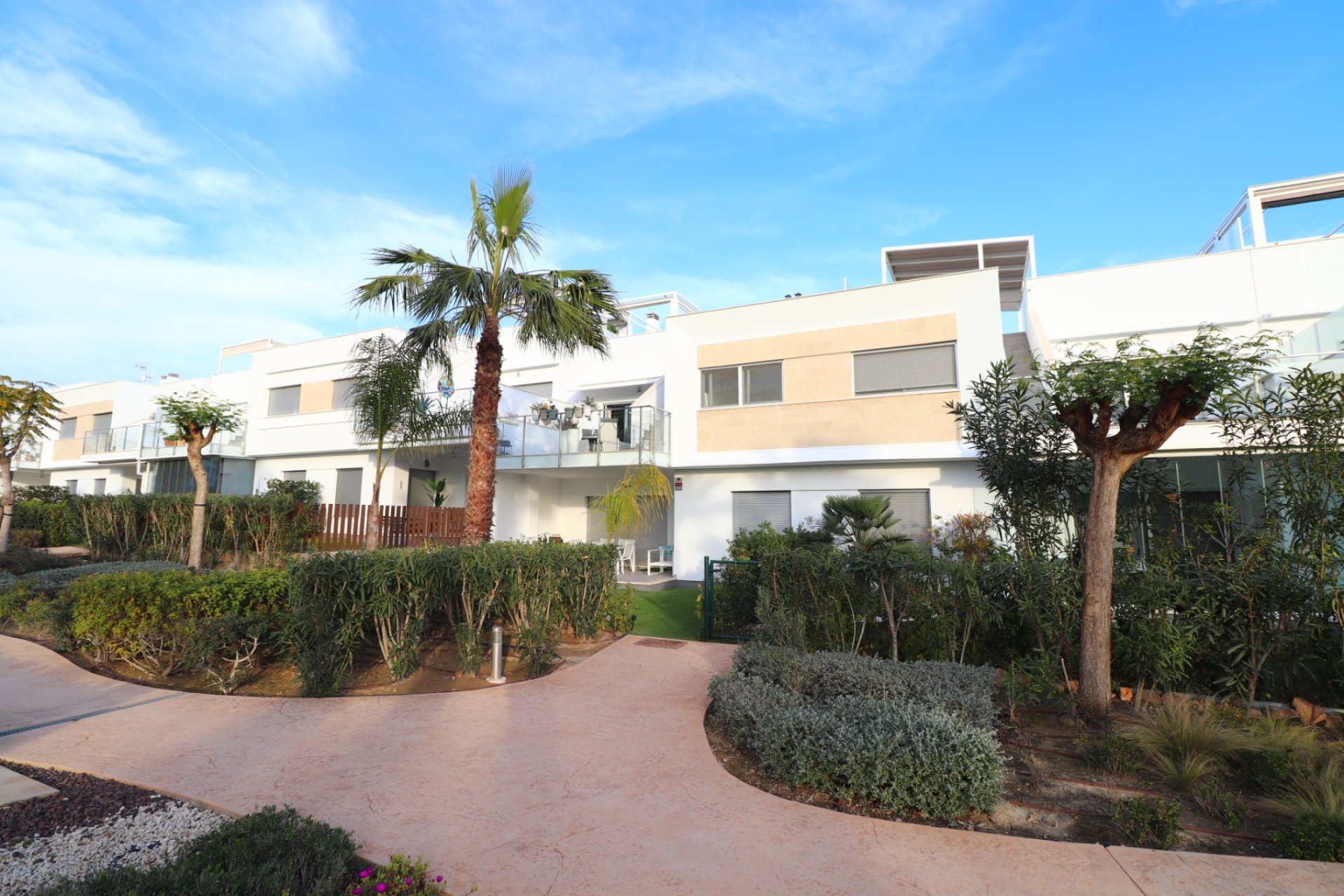 Venta - Apartment - Flat - Los Montesinos - Entre Naranjos / Vistabella Golf