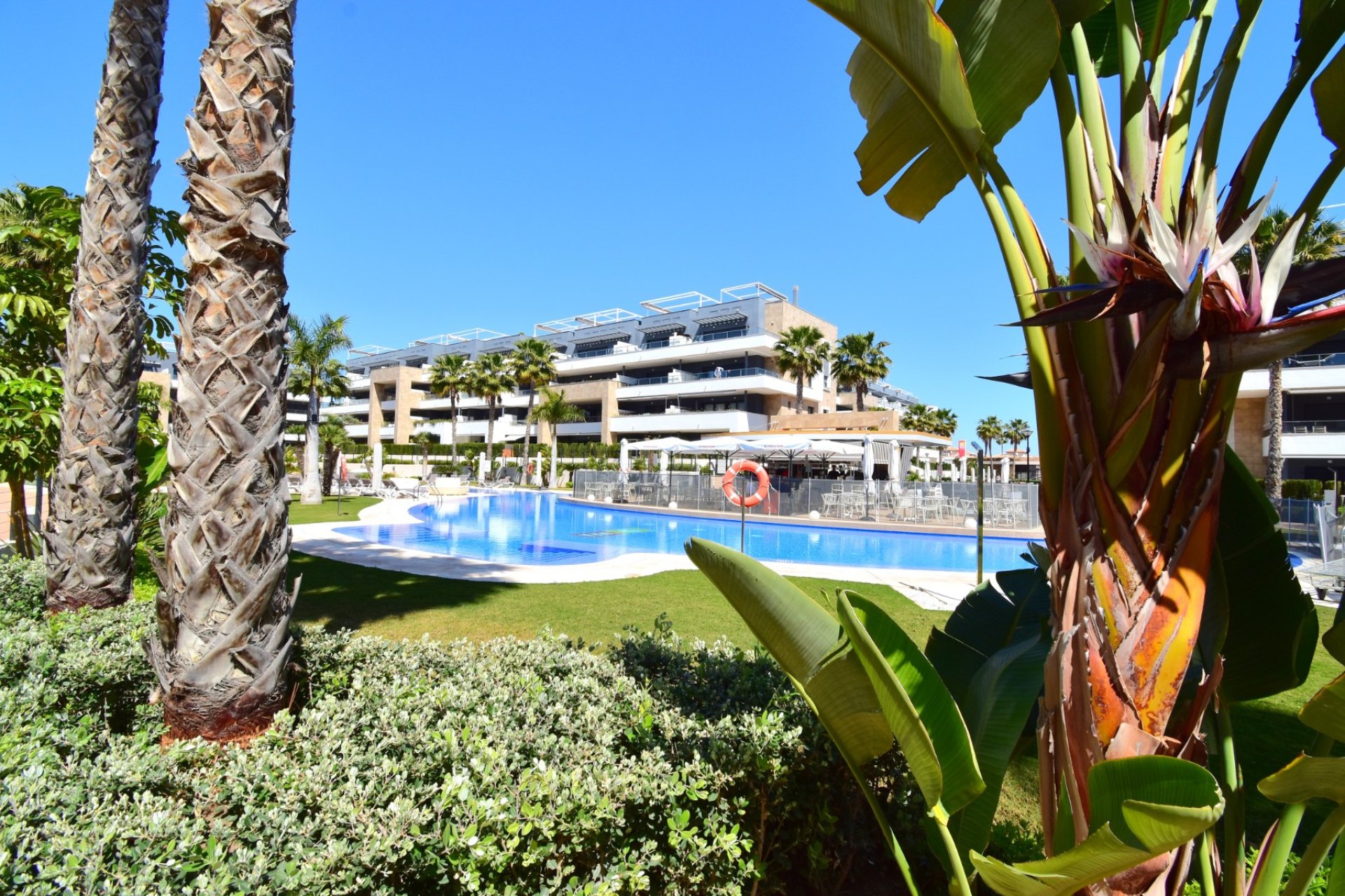 Venta - Apartment - Flat - Orihuela Costa - Playa Flamenca