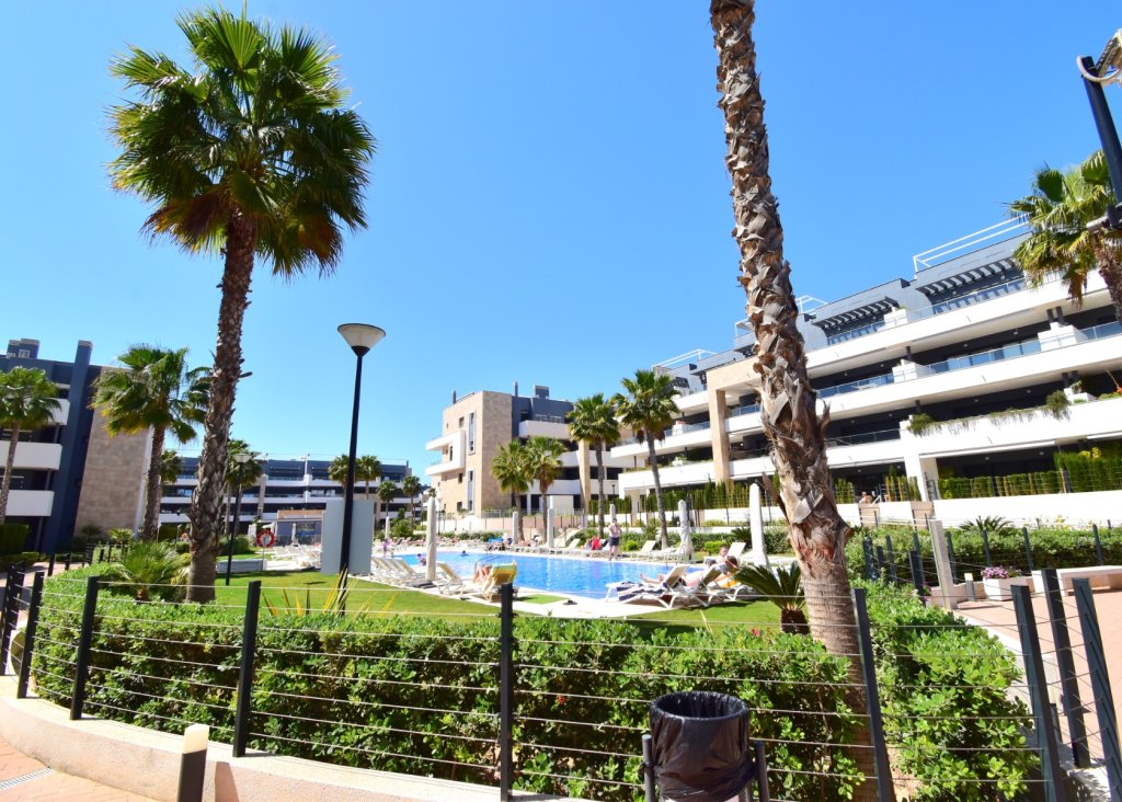 Venta - Apartment - Flat - Orihuela Costa - Playa Flamenca