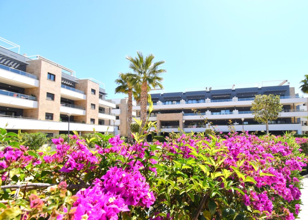 Venta - Apartment - Flat - Orihuela Costa - Playa Flamenca