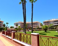 Venta - Apartment - Flat - Orihuela Costa - Playa Flamenca
