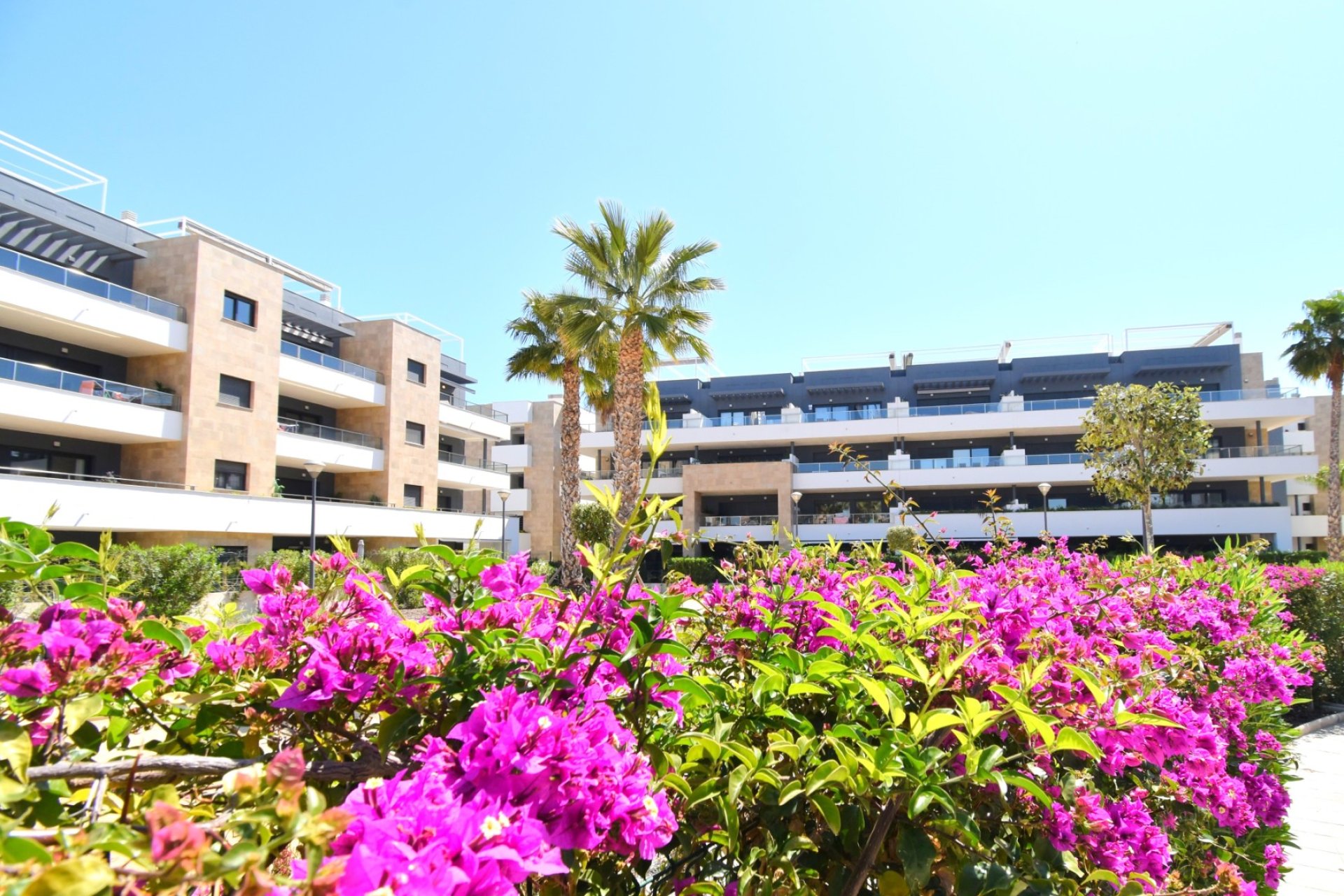 Venta - Apartment - Flat - Orihuela Costa - Playa Flamenca