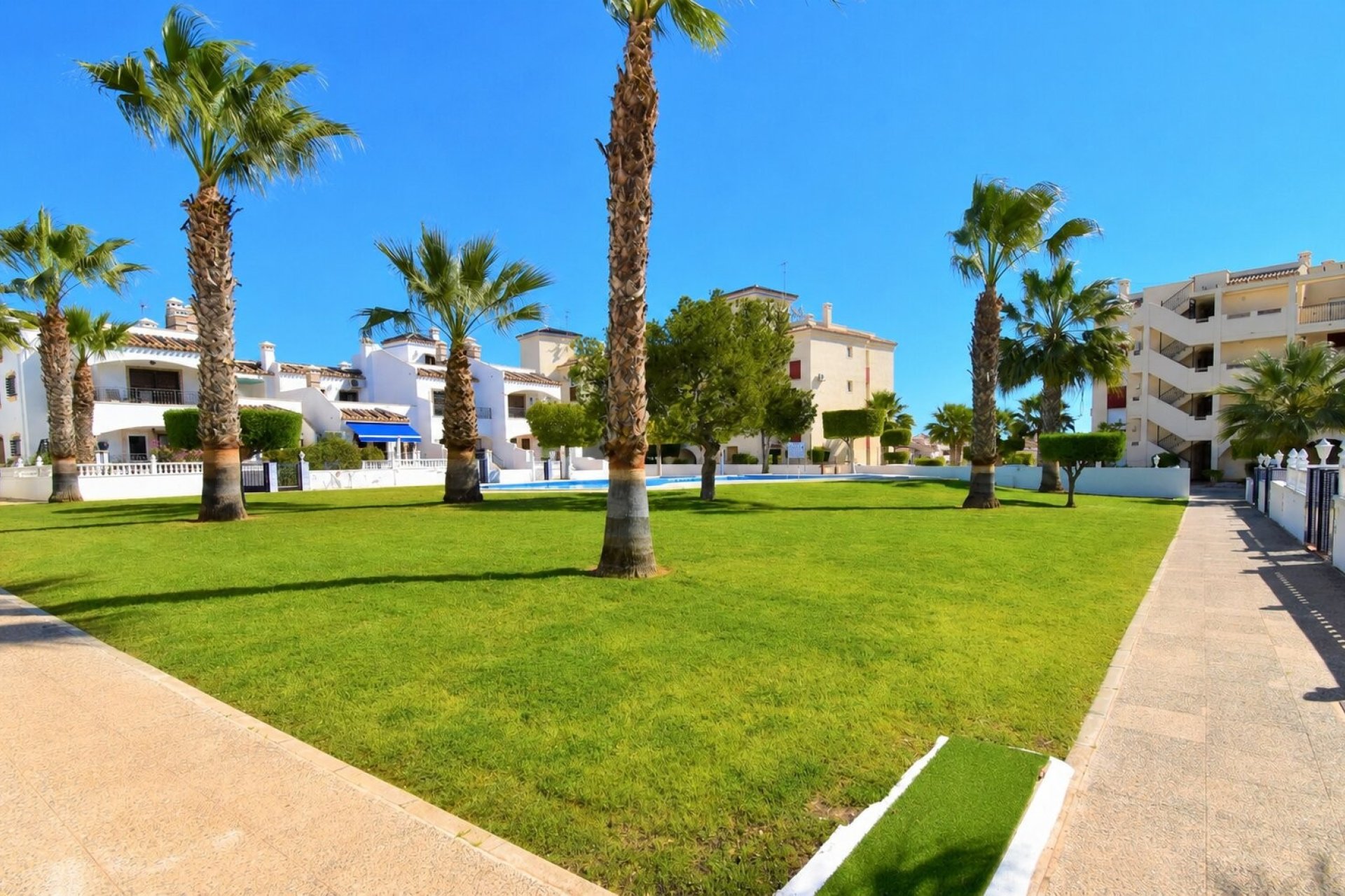 Venta - Apartment - Flat - Orihuela Costa - Playa Flamenca
