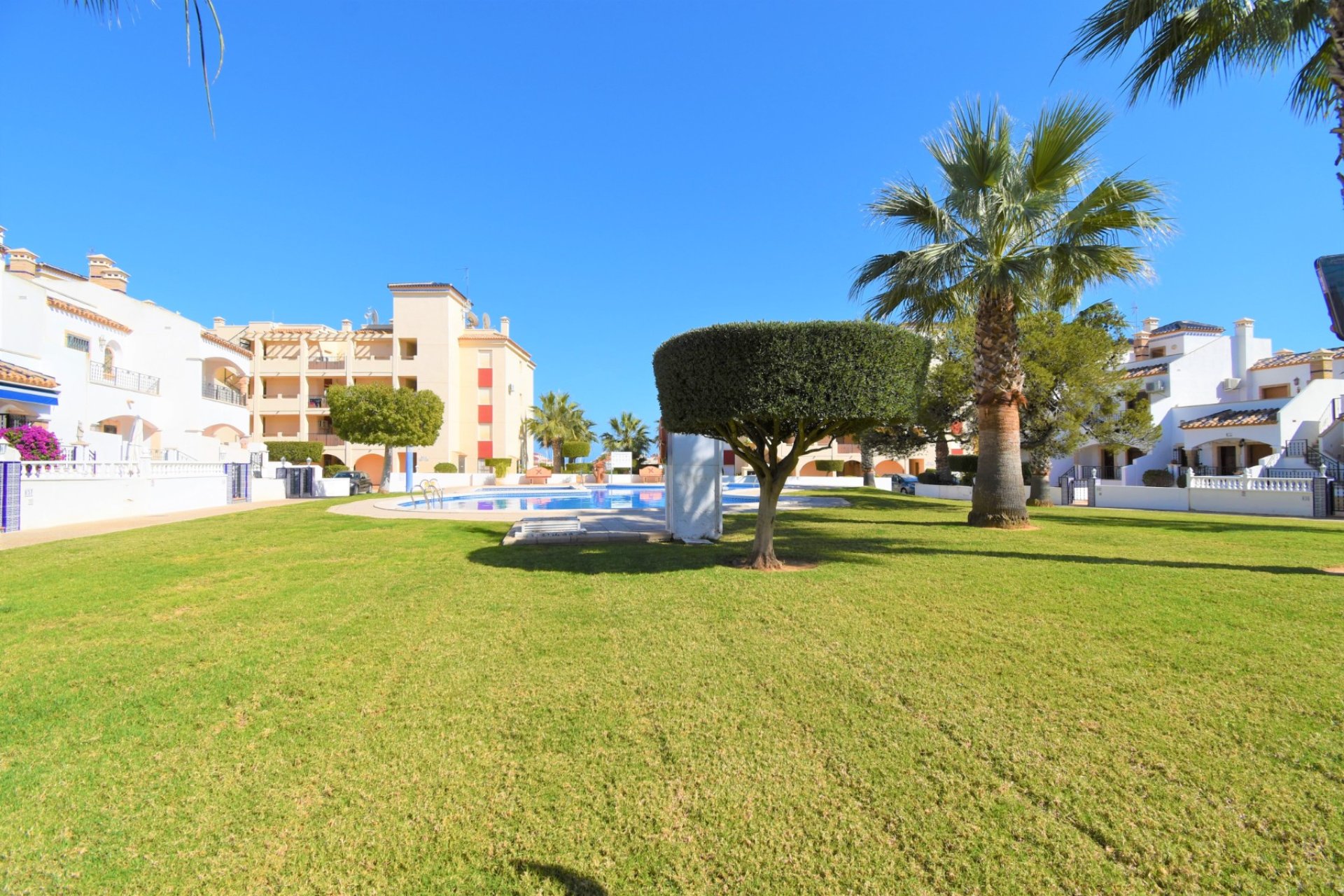 Venta - Apartment - Flat - Orihuela Costa - Playa Flamenca