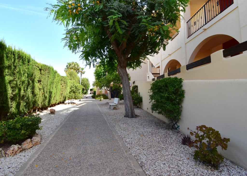 Venta - Apartment - Flat - Orihuela Costa - Playa Flamenca